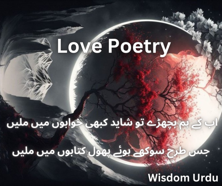 Love Poetry  اب کے ہم بچھڑے تو شاید کبھی خوابوں میں ملیں